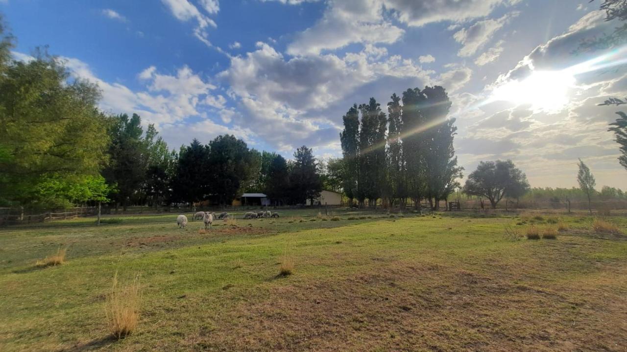 Finca La Calma San Rafael (Mendoza) Exterior foto