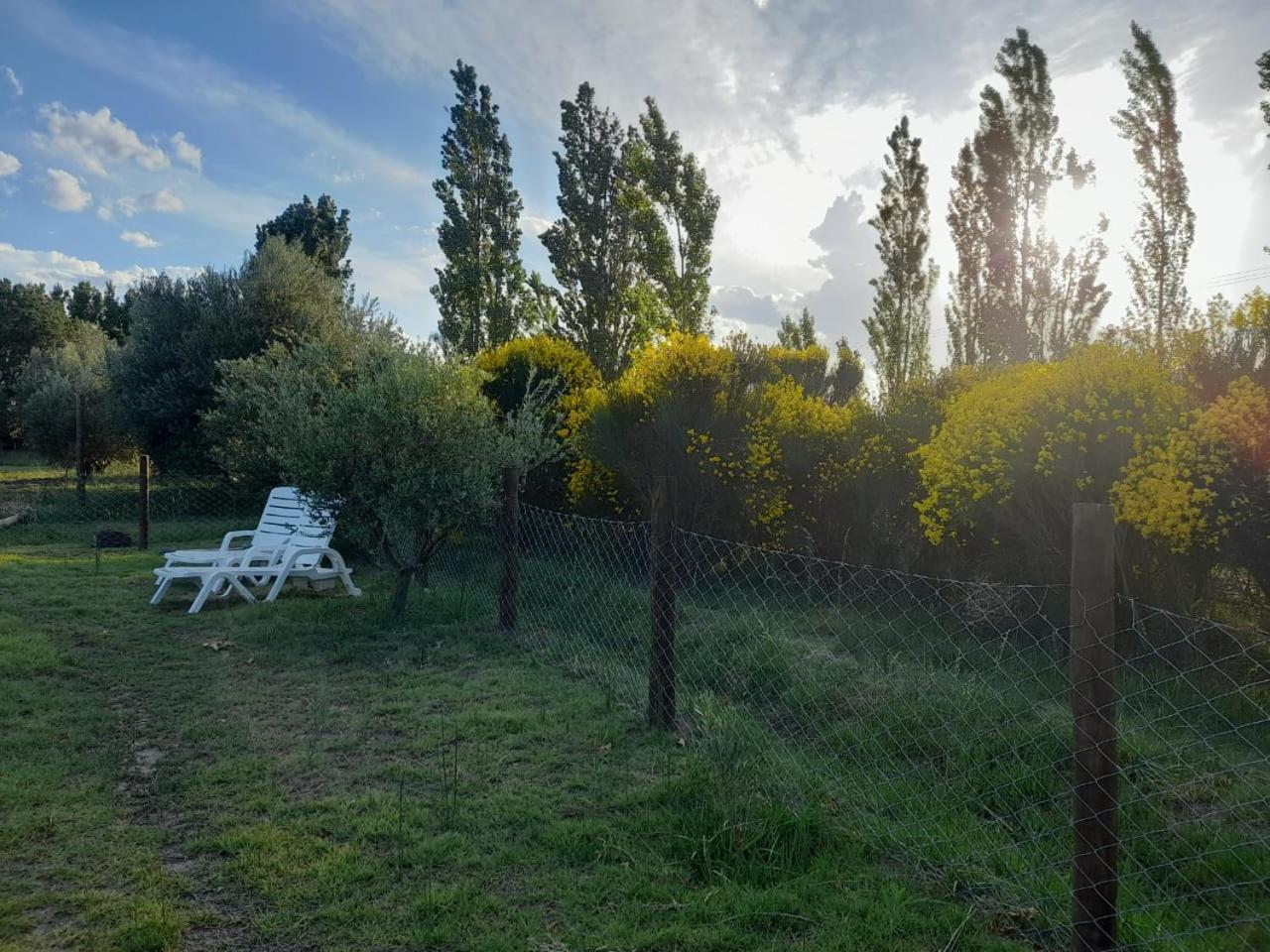 Finca La Calma San Rafael (Mendoza) Exterior foto