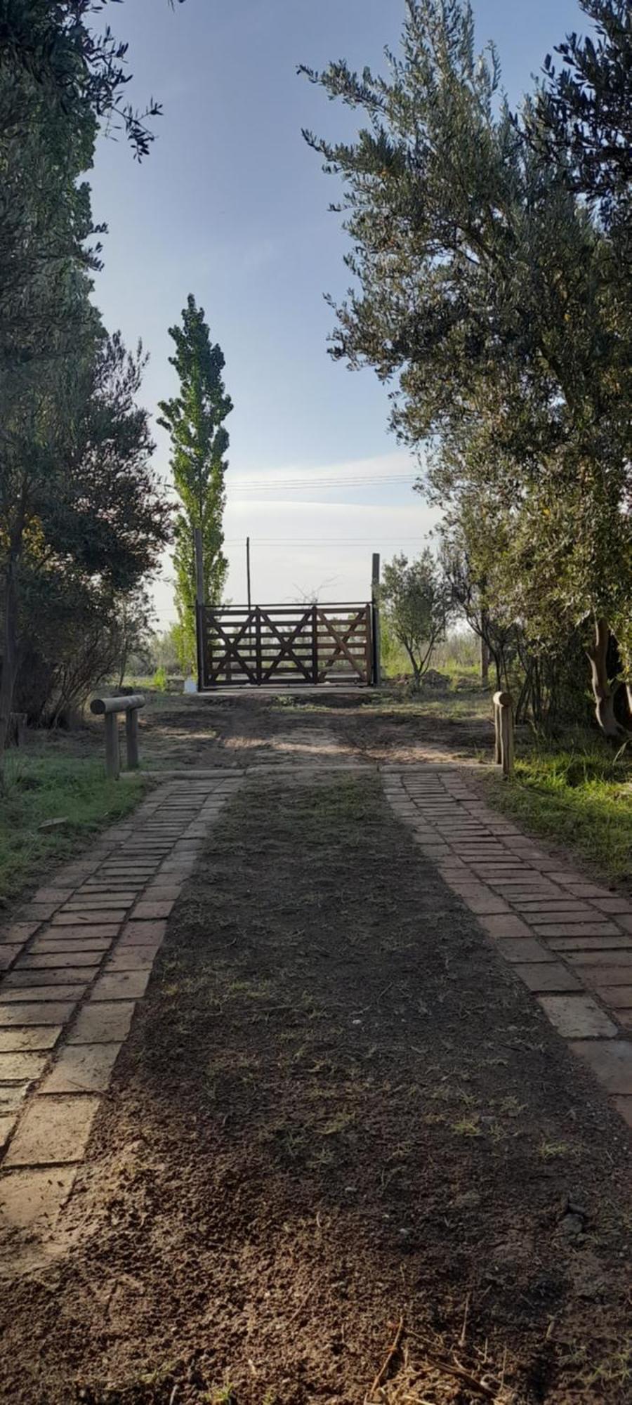 Finca La Calma San Rafael (Mendoza) Exterior foto