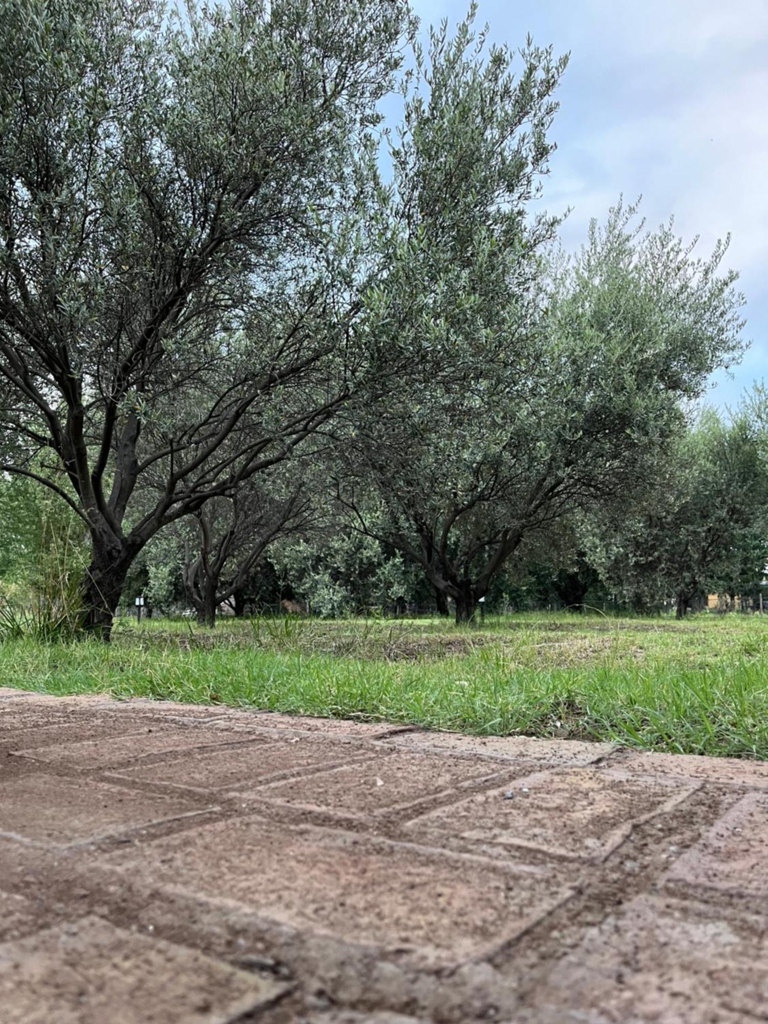 Finca La Calma San Rafael (Mendoza) Exterior foto